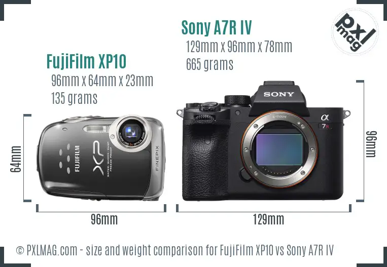 FujiFilm XP10 vs Sony A7R IV size comparison