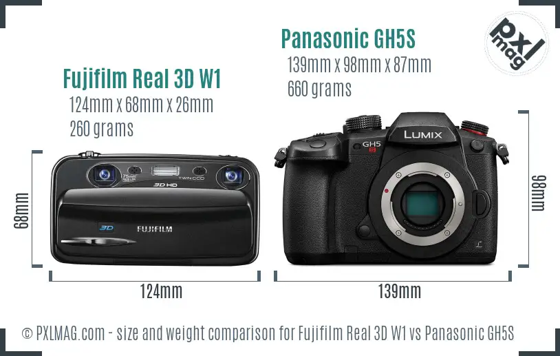 Fujifilm Real 3D W1 vs Panasonic GH5S size comparison