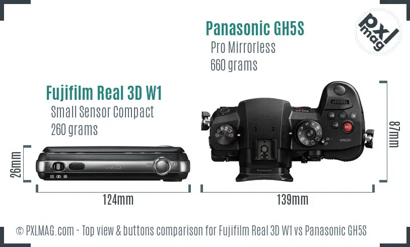 Fujifilm Real 3D W1 vs Panasonic GH5S top view buttons comparison