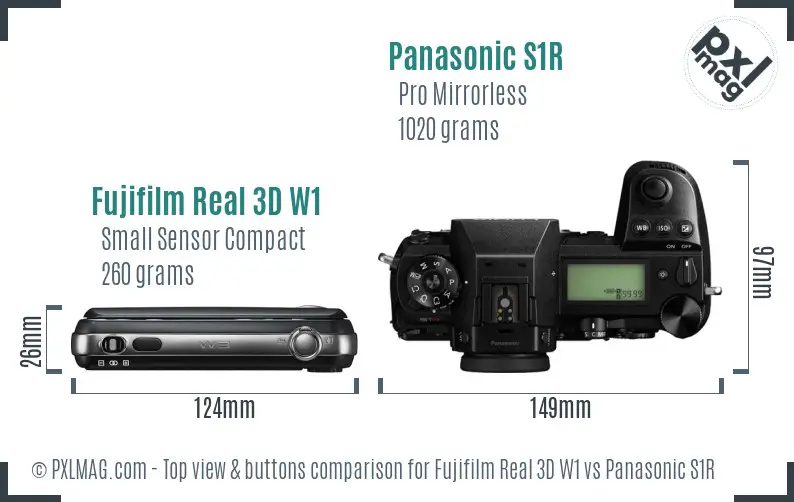 Fujifilm Real 3D W1 vs Panasonic S1R top view buttons comparison