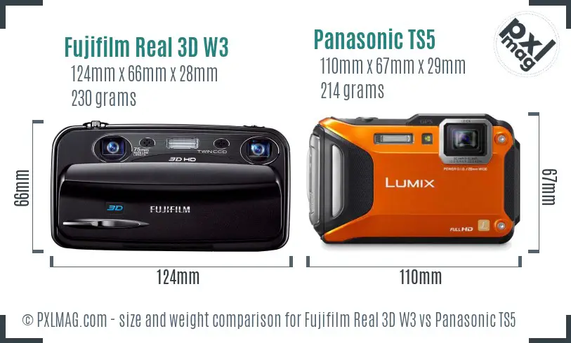 Fujifilm Real 3D W3 vs Panasonic TS5 size comparison