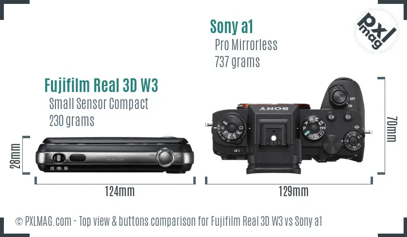 Fujifilm Real 3D W3 vs Sony a1 top view buttons comparison