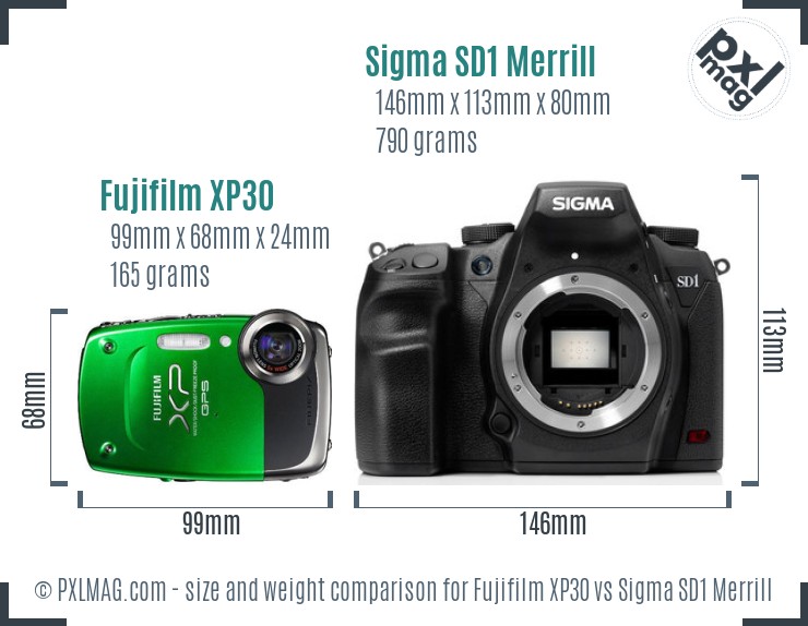 Fujifilm XP30 vs Sigma SD1 Merrill size comparison Fujifilm XP30 vs Sigma SD1 Merrill size comparison