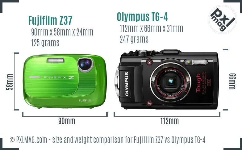 Fujifilm Z37 vs Olympus TG-4 size comparison
