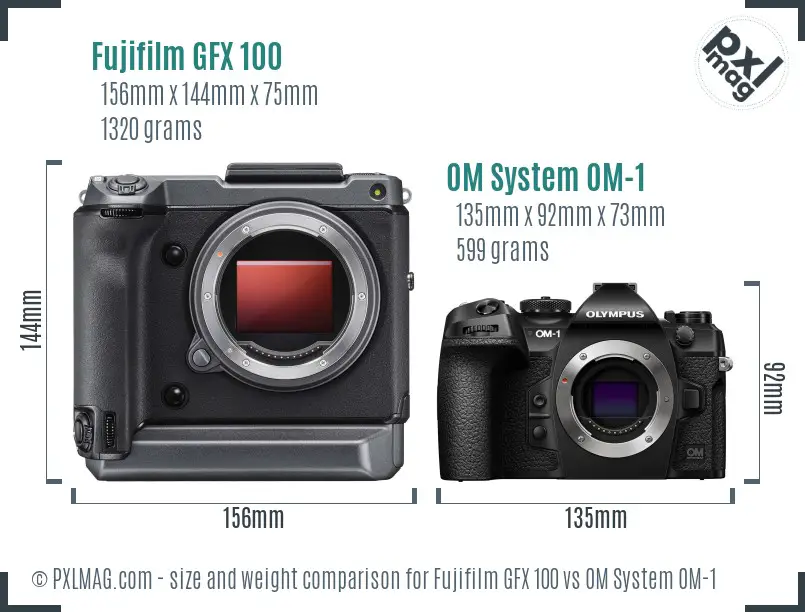 Fujifilm GFX 100 vs OM System OM-1 size comparison