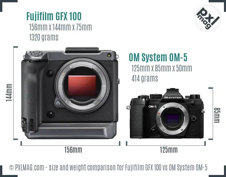 Fujifilm GFX 100 vs OM System OM-5 size comparison Fujifilm GFX 100 vs OM System OM-5 size comparison