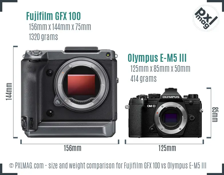 Fujifilm GFX 100 vs Olympus E-M5 III size comparison