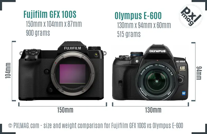 Fujifilm GFX 100S vs Olympus E-600 size comparison