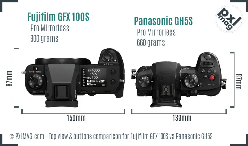 Fujifilm GFX 100S vs Panasonic GH5S top view buttons comparison