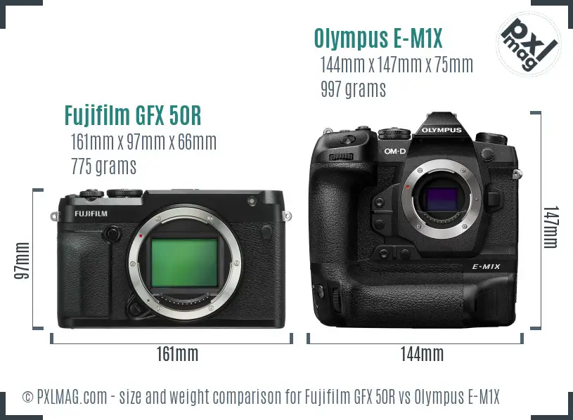 Fujifilm GFX 50R vs Olympus E-M1X size comparison