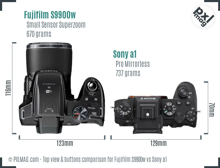 Fujifilm S9900w vs Sony a1 top view buttons comparison