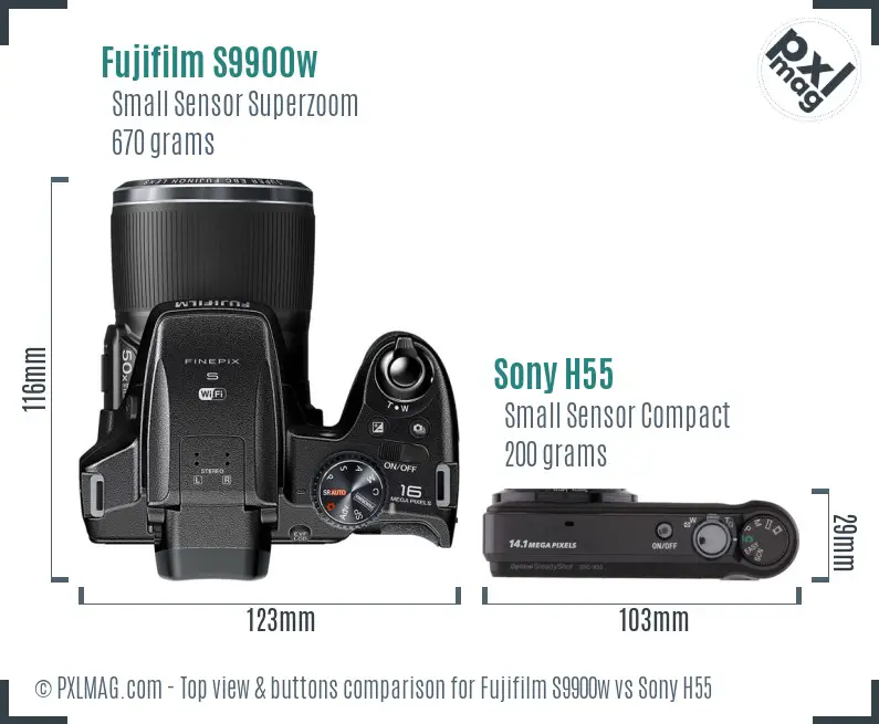 Fujifilm S9900w vs Sony H55 top view buttons comparison