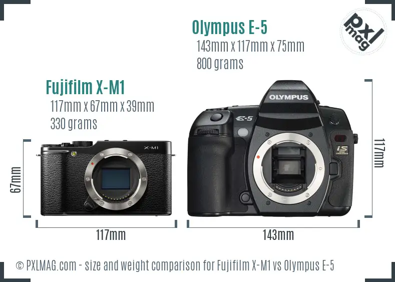 Fujifilm X-M1 vs Olympus E-5 size comparison