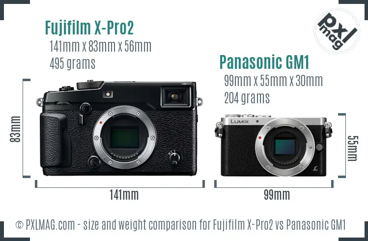 Fujifilm X-Pro2 vs Panasonic GM1 size comparison