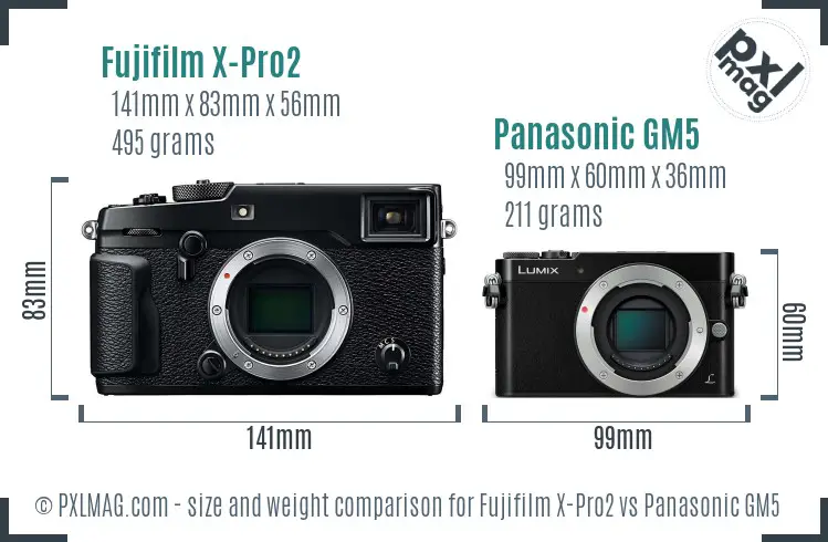 Fujifilm X-Pro2 vs Panasonic GM5 size comparison
