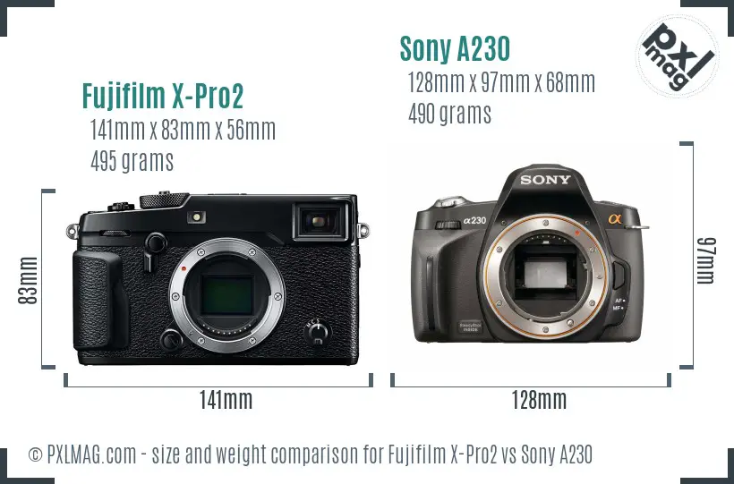 Size Comparison