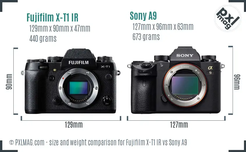 Fujifilm X-T1 IR vs Sony A9 size comparison