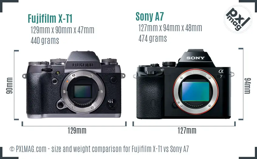 Fujifilm X-T1 vs Sony A7 size comparison