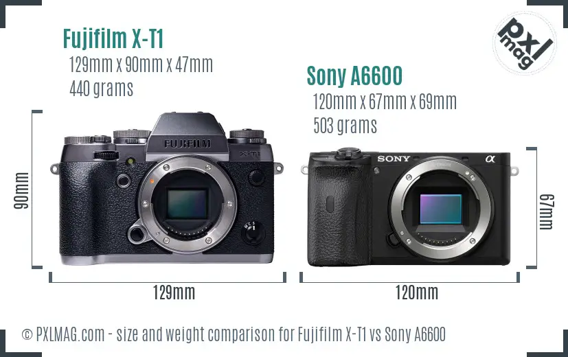 Fujifilm X-T1 vs Sony A6600 size comparison