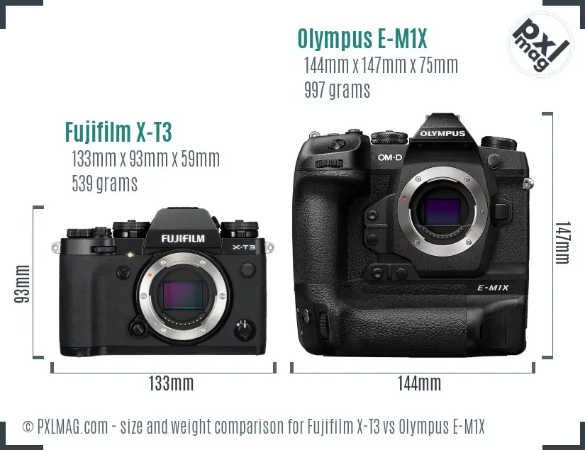 Fujifilm X-T3 vs Olympus E-M1X size comparison