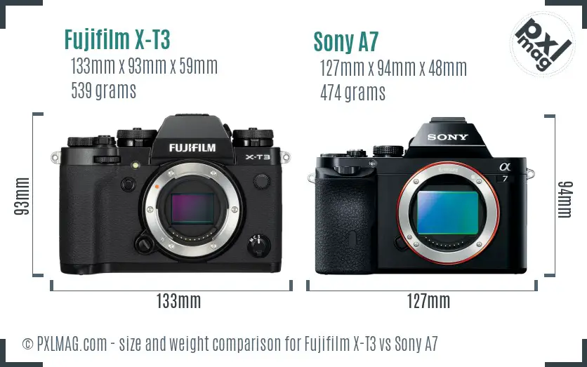 Fujifilm X-T3 vs Sony A7 size comparison