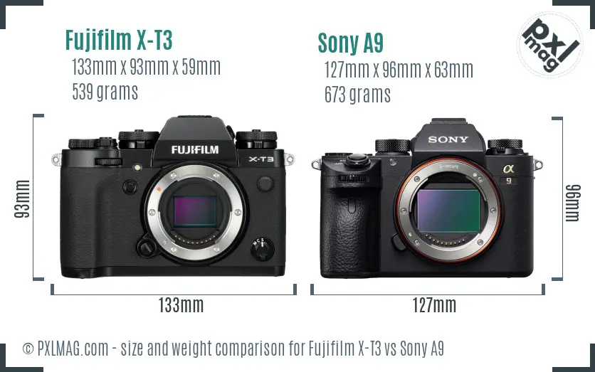 Fujifilm X-T3 vs Sony A9 size comparison