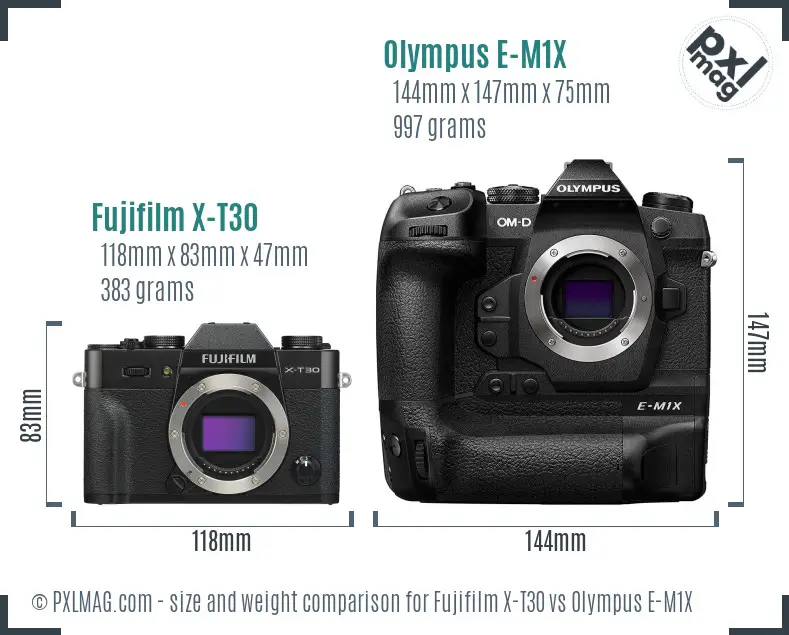 Fujifilm X-T30 vs Olympus E-M1X size comparison