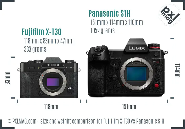 Fujifilm X-T30 vs Panasonic S1H size comparison