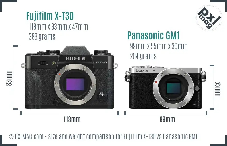 Fujifilm X-T30 vs Panasonic GM1 size comparison