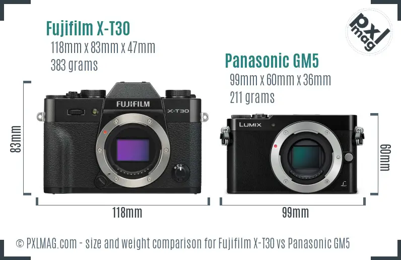 Fujifilm X-T30 vs Panasonic GM5 size comparison