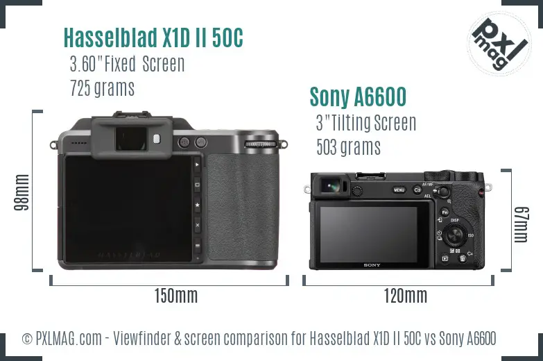 Hasselblad X1D II 50C vs Sony A6600 Screen and Viewfinder comparison Hasselblad X1D II 50C vs Sony A6600 Screen and Viewfinder comparison