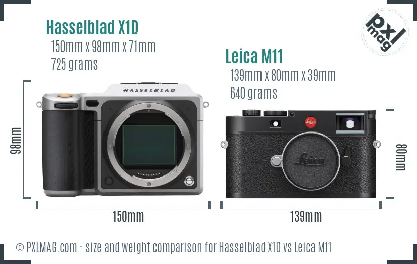 Hasselblad X1D vs Leica M11 size comparison