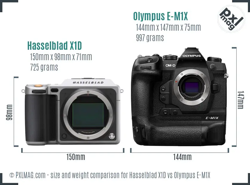 Hasselblad X1D vs Olympus E-M1X size comparison