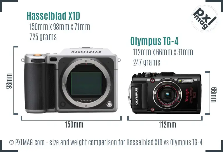 Hasselblad X1D vs Olympus TG-4 size comparison