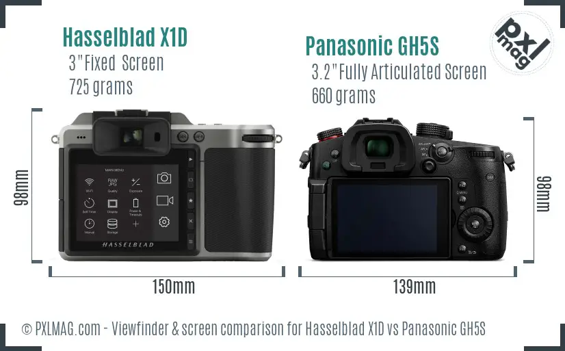 Hasselblad X1D vs Panasonic GH5S Screen and Viewfinder comparison