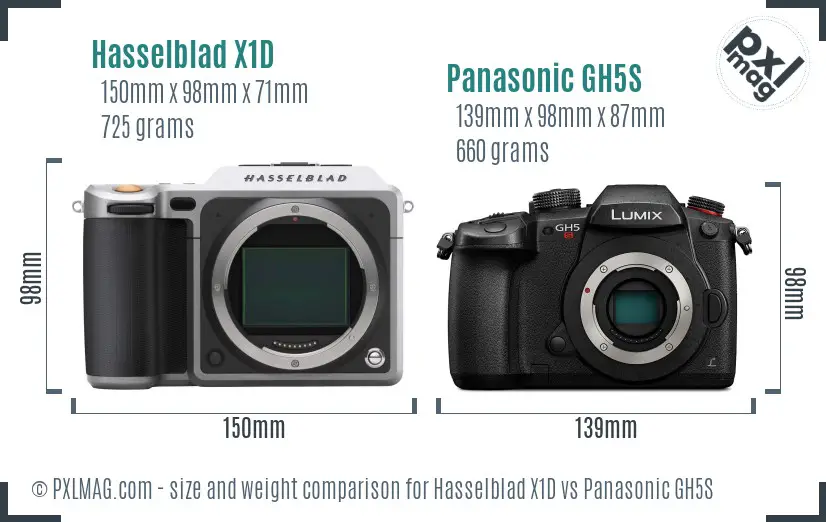 Hasselblad X1D vs Panasonic GH5S size comparison