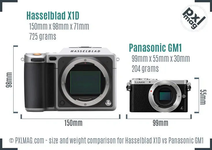 Hasselblad X1D vs Panasonic GM1 size comparison