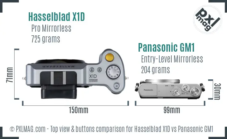 Hasselblad X1D vs Panasonic GM1 top view buttons comparison
