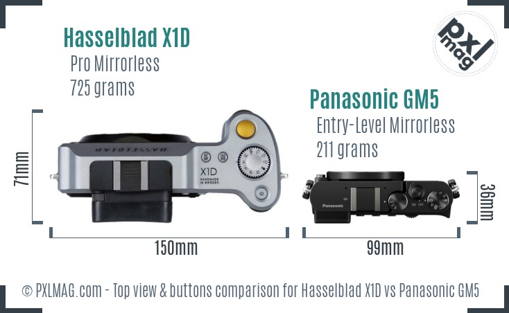 Hasselblad X1D vs Panasonic GM5 top view buttons comparison