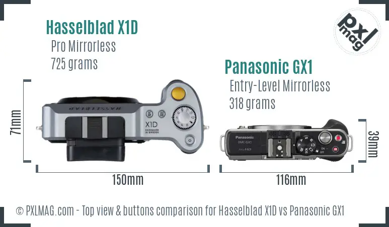 Hasselblad X1D vs Panasonic GX1 top view buttons comparison