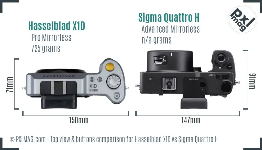 Hasselblad X1D vs Sigma Quattro H top view buttons comparison