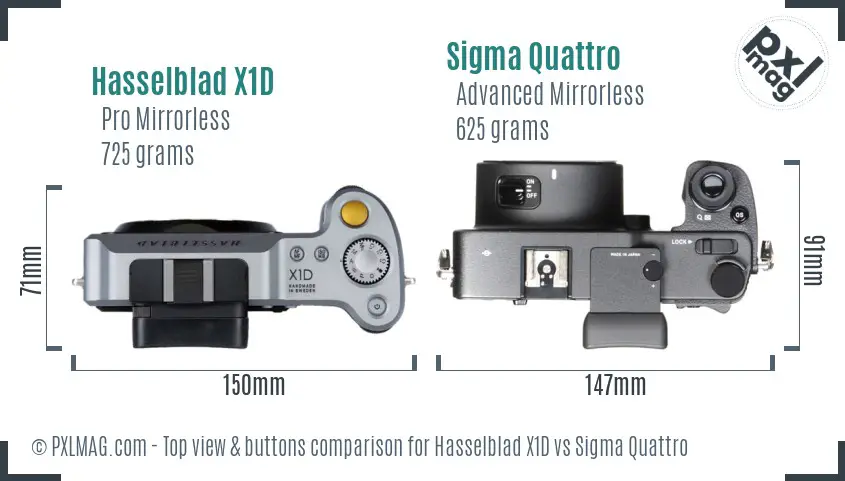 Hasselblad X1D vs Sigma Quattro top view buttons comparison