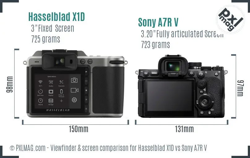 Hasselblad X1D vs Sony A7R V Screen and Viewfinder comparison