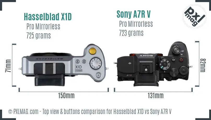 Hasselblad X1D vs Sony A7R V top view buttons comparison