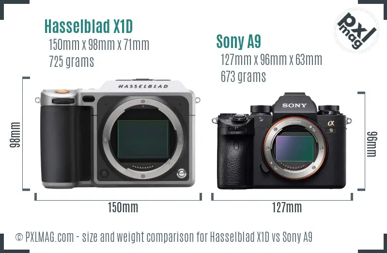 Hasselblad X1D vs Sony A9 size comparison