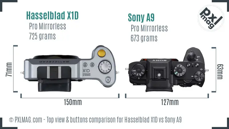 Hasselblad X1D vs Sony A9 top view buttons comparison