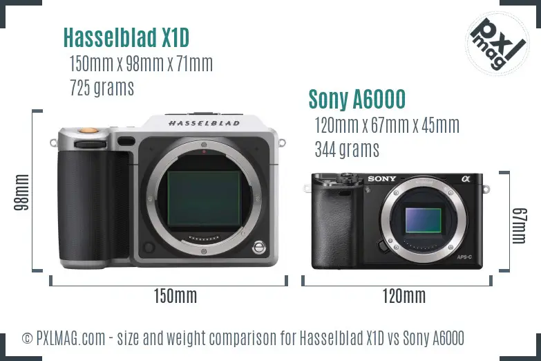 Hasselblad X1D vs Sony A6000 size comparison