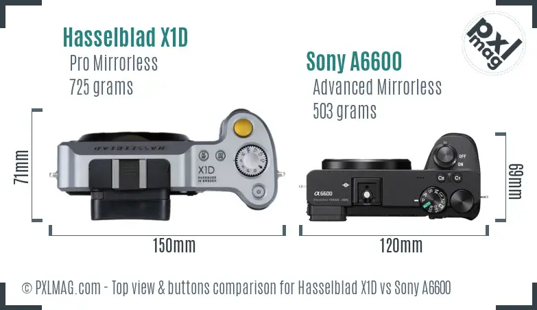 Hasselblad X1D vs Sony A6600 top view buttons comparison