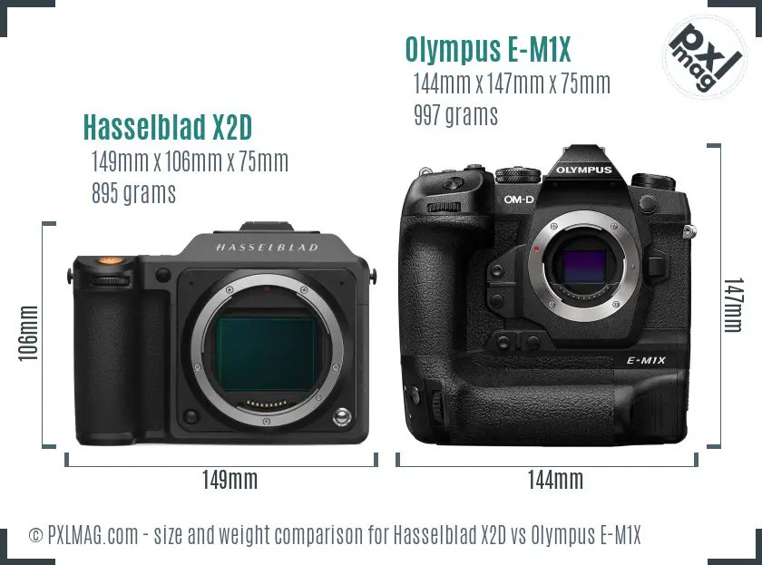 Hasselblad X2D vs Olympus E-M1X size comparison