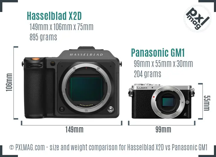 Hasselblad X2D vs Panasonic GM1 size comparison